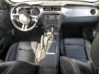 2013 Ford Mustang  for Sale in Nampa, ID - Hail