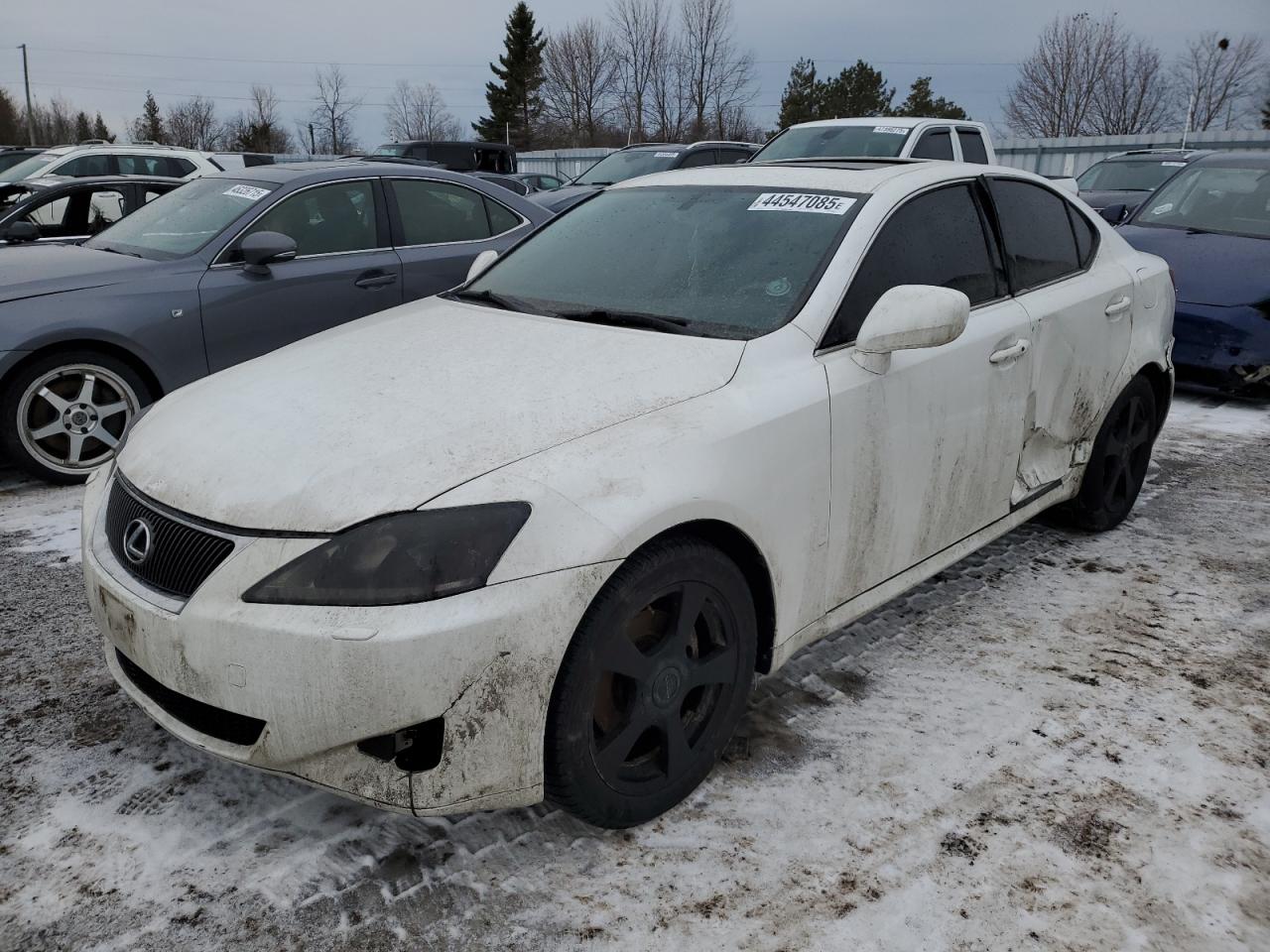 2008 Lexus IS - Image 1
