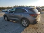 2024 Ford Escape Active for Sale in Savannah, GA - All Over