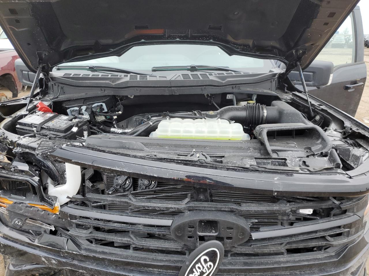 1FTEW3LP5SKD04186 FORD F150 2025