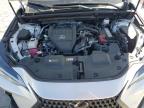 2024 Lexus Nx 350 Premium for Sale in Lebanon, TN - All Over