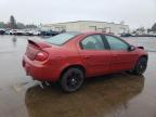 2005 Dodge Neon Sxt იყიდება Woodburn-ში, OR - Front End