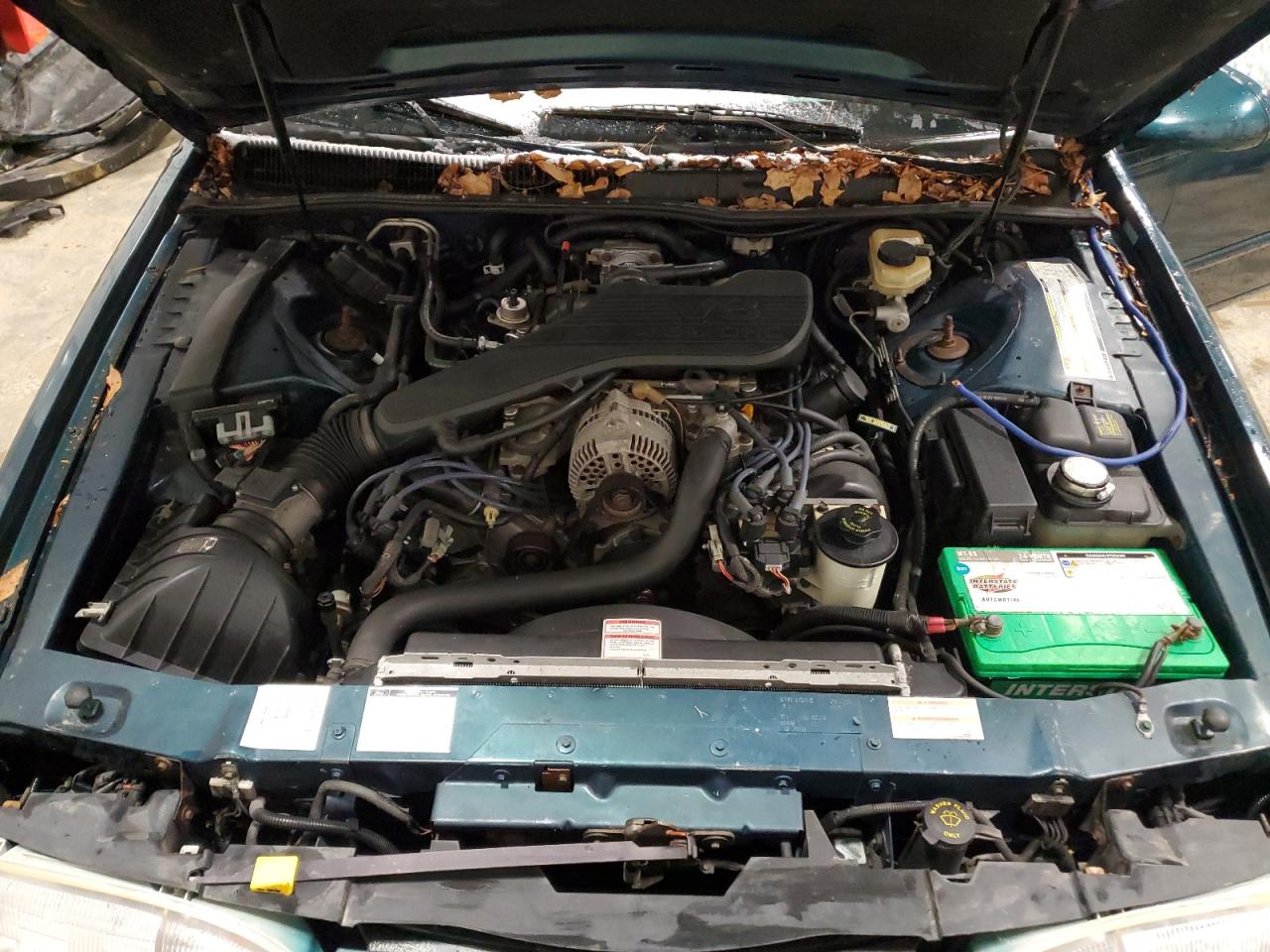 1995 Ford Thunderbird Lx VIN: 1FALP62W8SH205542 Lot: 47741815