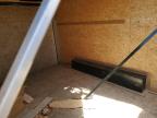 2019 Look Enclosed Cargo Trailer for Sale in Cahokia Heights, IL - Front End