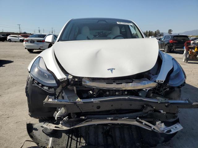  TESLA MODEL Y 2023 Белы