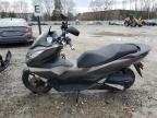 2023 Honda Ww150 A na sprzedaż w North Billerica, MA - Side