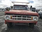 1969 Dodge Pickup en Venta en Eugene, OR - Front End