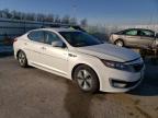 2013 Kia Optima Hybrid на продаже в Rogersville, MO - Rear End