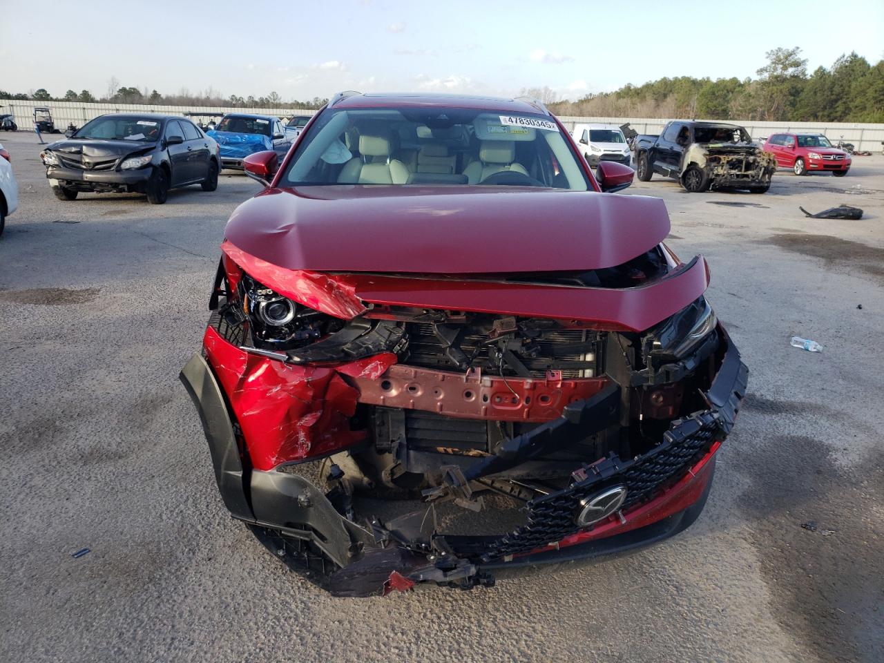 2020 Mazda CX-30 - Image 5