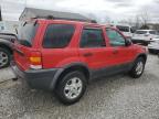 2002 Ford Escape Xlt en Venta en Louisville, KY - Hail