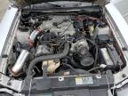 2004 Ford Mustang  للبيع في Fort Pierce، FL - Rear End