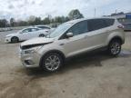 2017 Ford Escape Se de vânzare în Shreveport, LA - Front End
