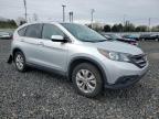 2013 Honda Cr-V Exl na sprzedaż w Portland, OR - Rear End