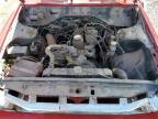 1976 Nissan Datsun продається в Tucson, AZ - Rear End