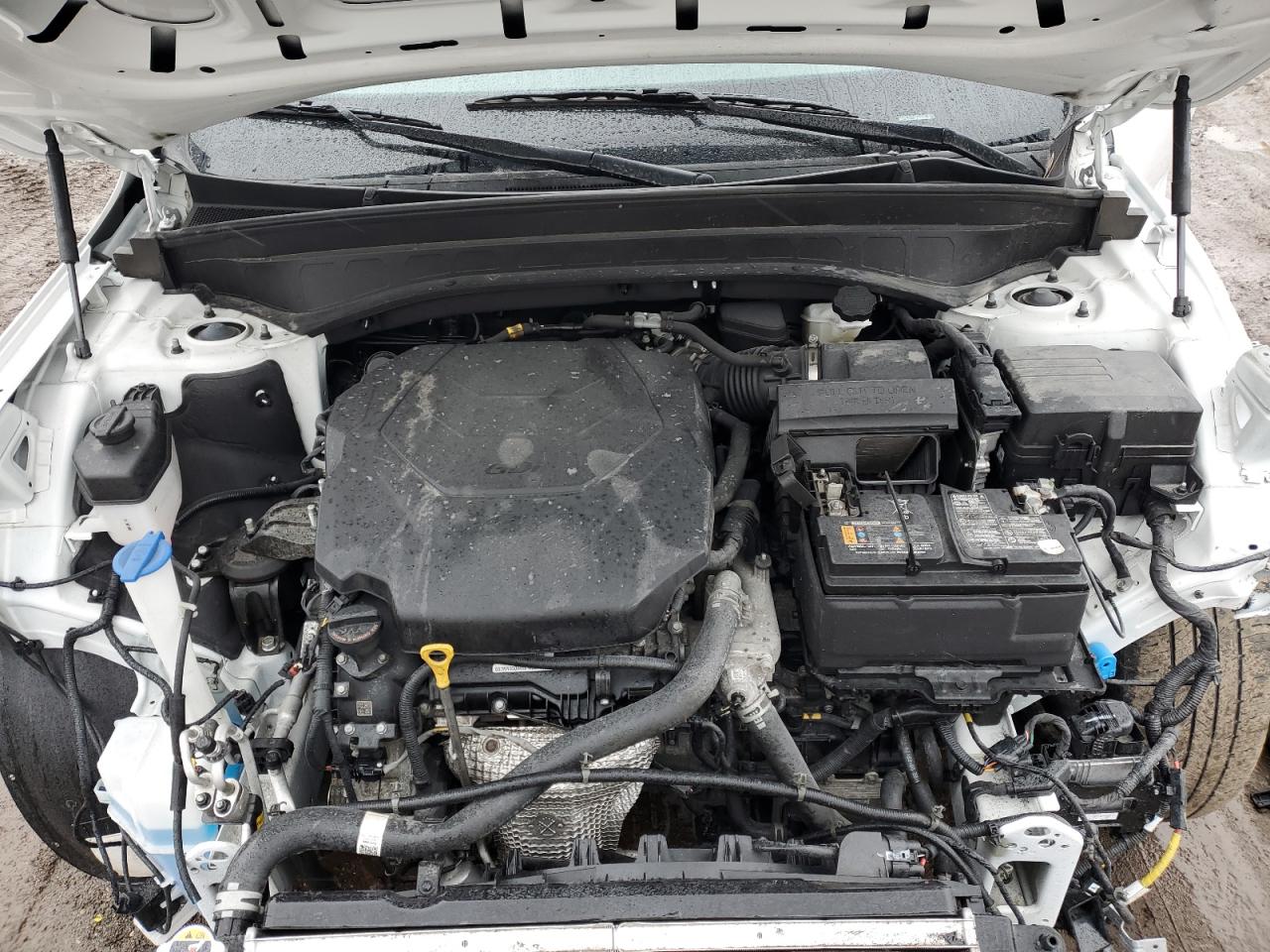 2023 Kia Telluride - Image 12