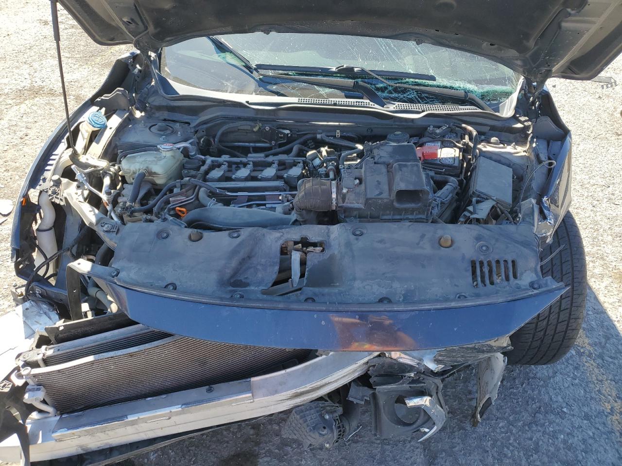 19XFC1F31ME206692 HONDA CIVIC 2021