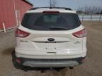 2013 Ford Escape Se zu verkaufen in London, ON - Minor Dent/Scratches
