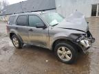 2009 Ford Escape Xlt продається в Davison, MI - Front End