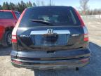 2010 Honda Cr-V Exl for Sale in Leroy, NY - Front End