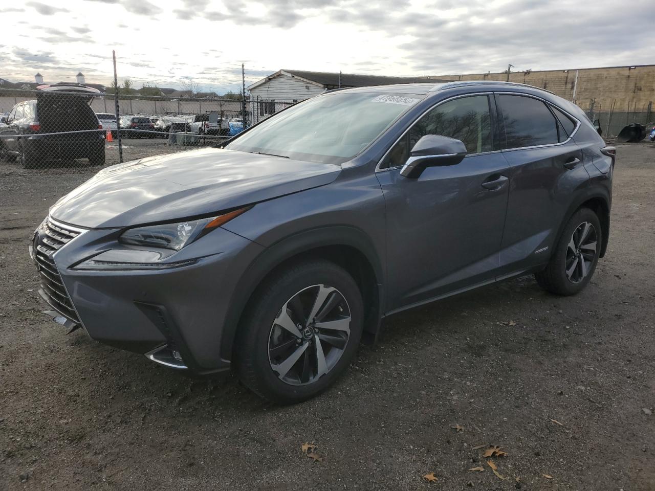 2020 Lexus NX - Image 1