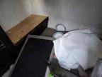 2021 Brax Freesolo за продажба в Apopka, FL - Minor Dent/Scratches