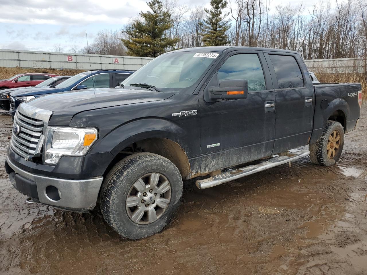 2012 Ford F-150 - Image 1