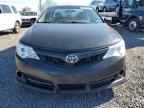 2014 Toyota Camry L იყიდება Hillsborough-ში, NJ - Mechanical