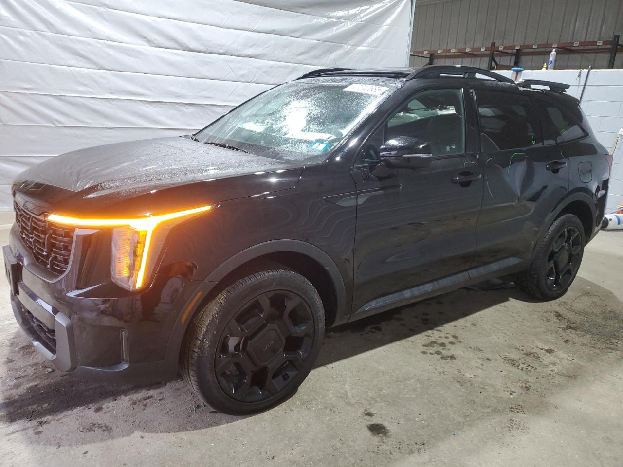 2025 Kia Sorento Sx for Sale in Candia, NH - Top/Roof