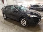 2024 Ford Escape Active for Sale in Avon, MN - Front End