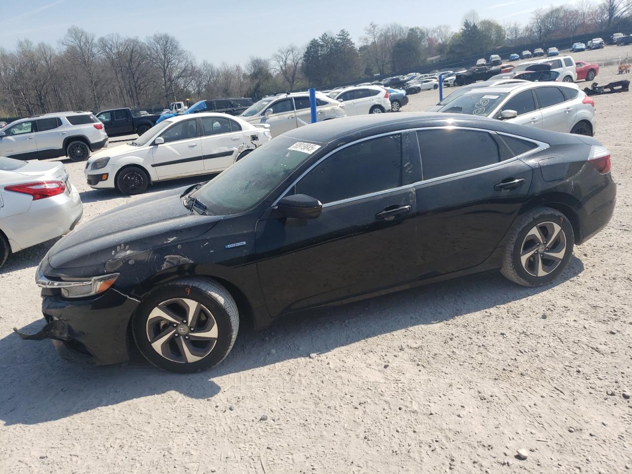 2019 HONDA INSIGHT