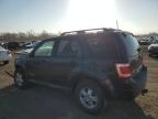 2008 Ford Escape Xlt en Venta en Des Moines, IA - Front End