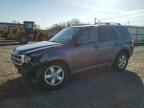 2010 Ford Escape Limited للبيع في Hillsborough، NJ - Front End