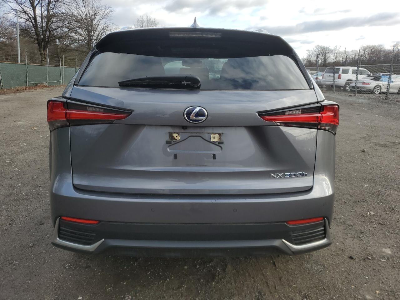 2020 Lexus NX - Image 6