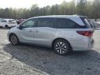 2025 Honda Odyssey Exl for Sale in Gainesville, GA - Front End