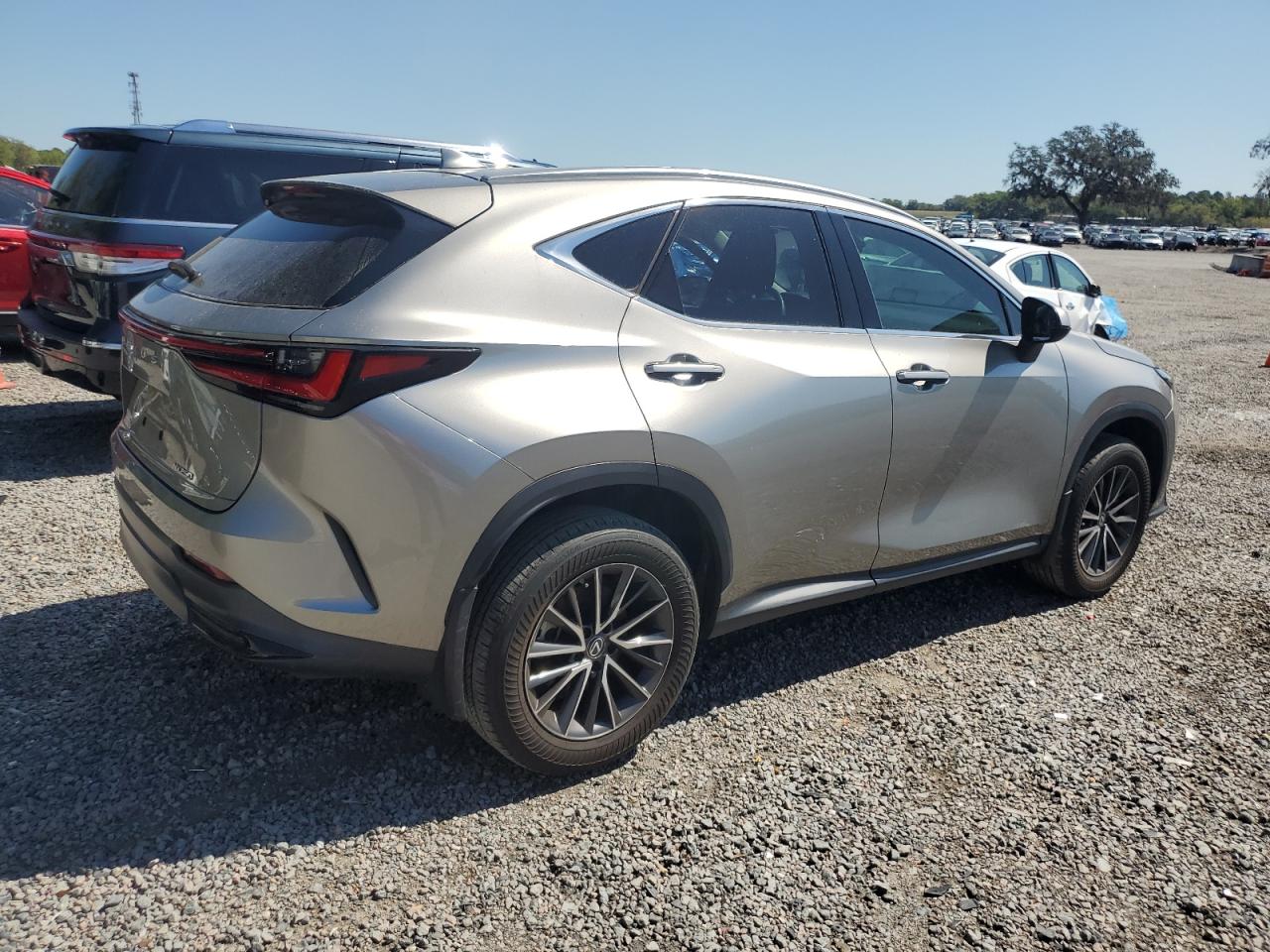 2022 Lexus NX - Image 3