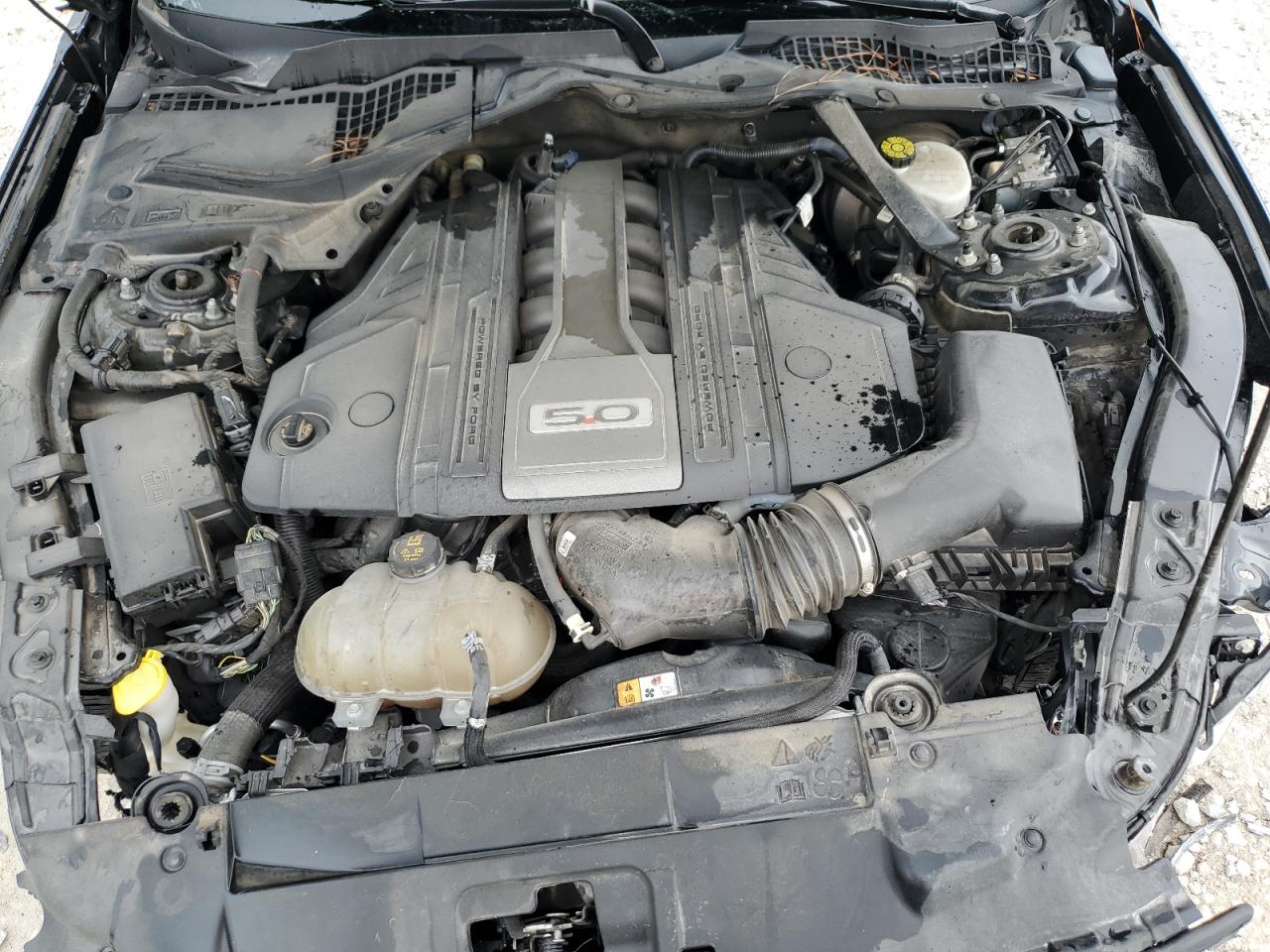 1FA6P8CF3J5137979 FORD MUSTANG 2018