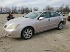 2009 Lexus Es 350 იყიდება Baltimore-ში, MD - Rear End