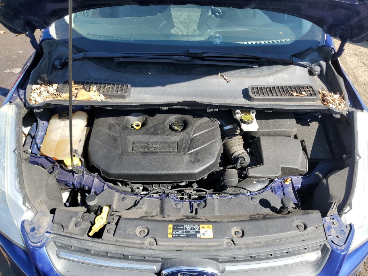 2014 Ford Escape Se VIN: 1FMCU0G91EUC19048 Lot: 48654195