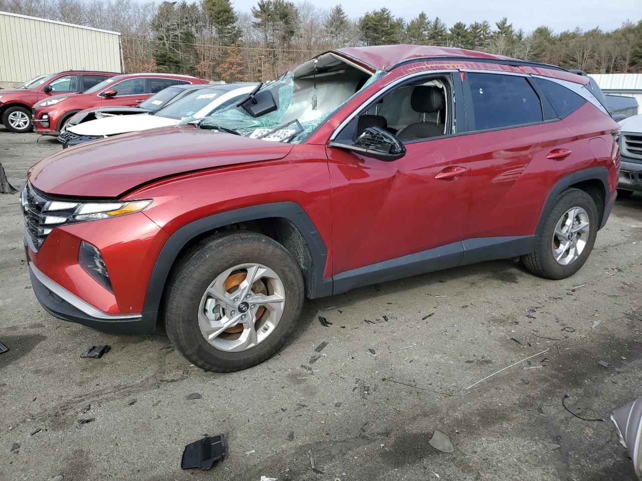 2024 Hyundai Tucson - Image 1