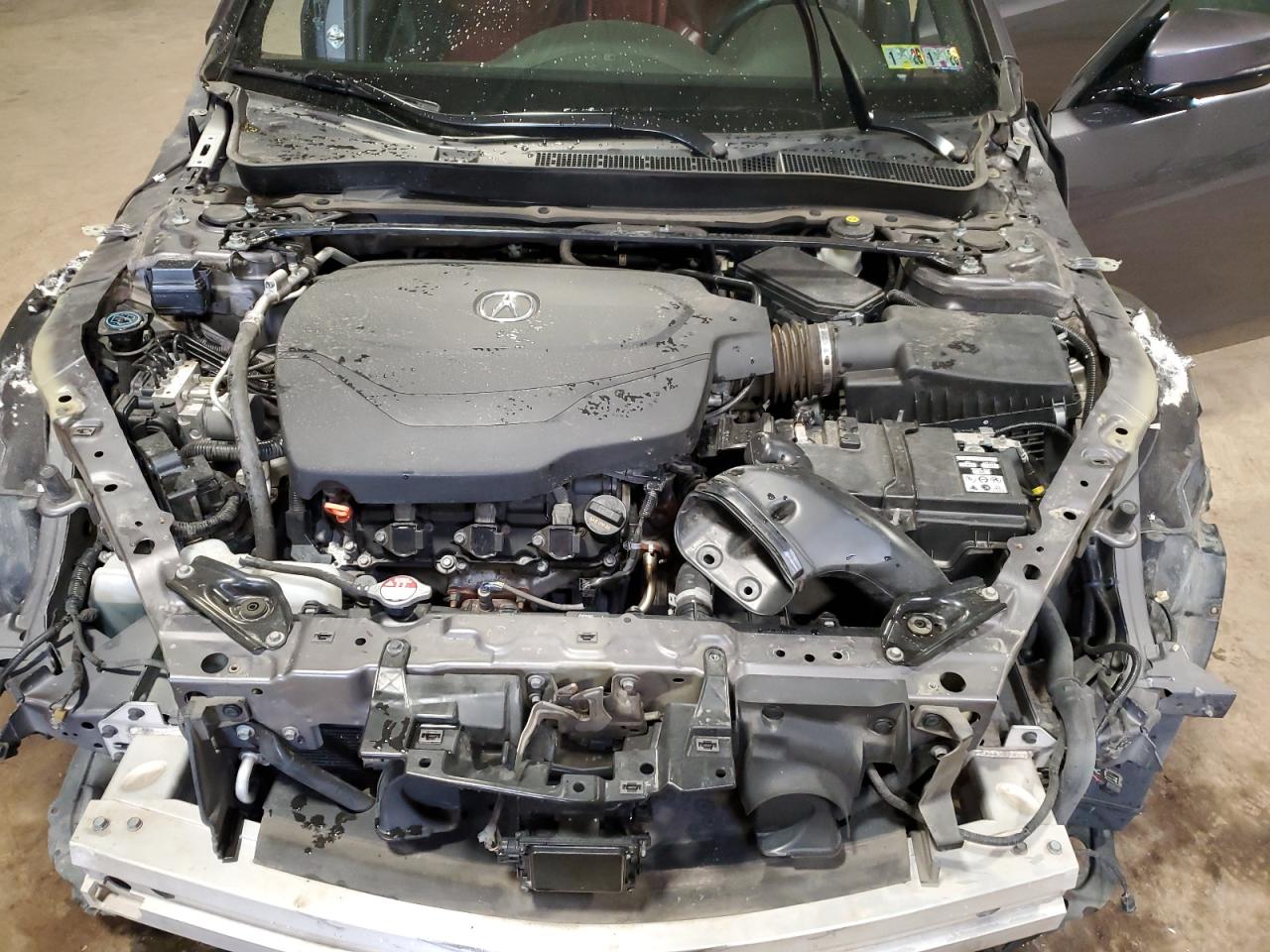 2019 Acura Tlx Technology VIN: 19UUB2F60KA005006 Lot: 50305185