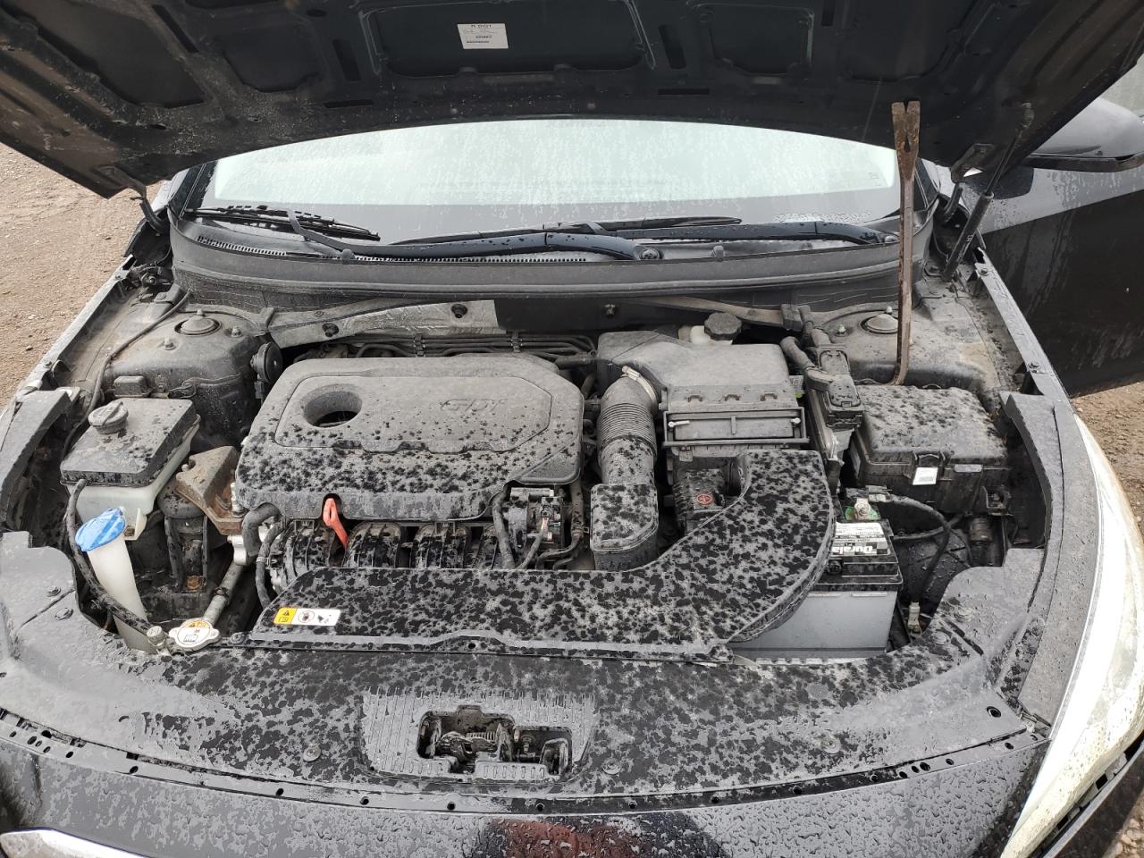2015 Hyundai Sonata Se VIN: 5NPE24AF0FH002613 Lot: 50953475