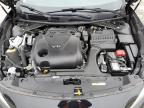 2020 Nissan Maxima Sl for Sale in Louisville, KY - Hail