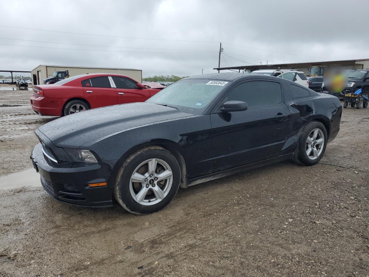 2014 Ford Mustang იყიდება Temple-ში, TX - Side