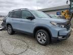 2022 Honda Passport Trail Sport იყიდება Louisville-ში, KY - Rear End