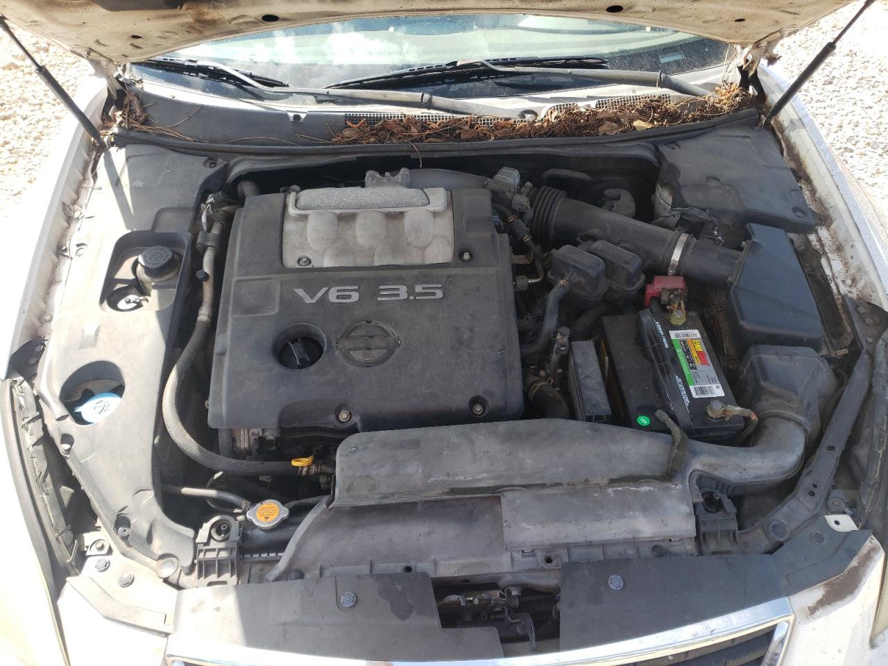 2008 Nissan Maxima Se VIN: 1N4BA41E58C814197 Lot: 50358775