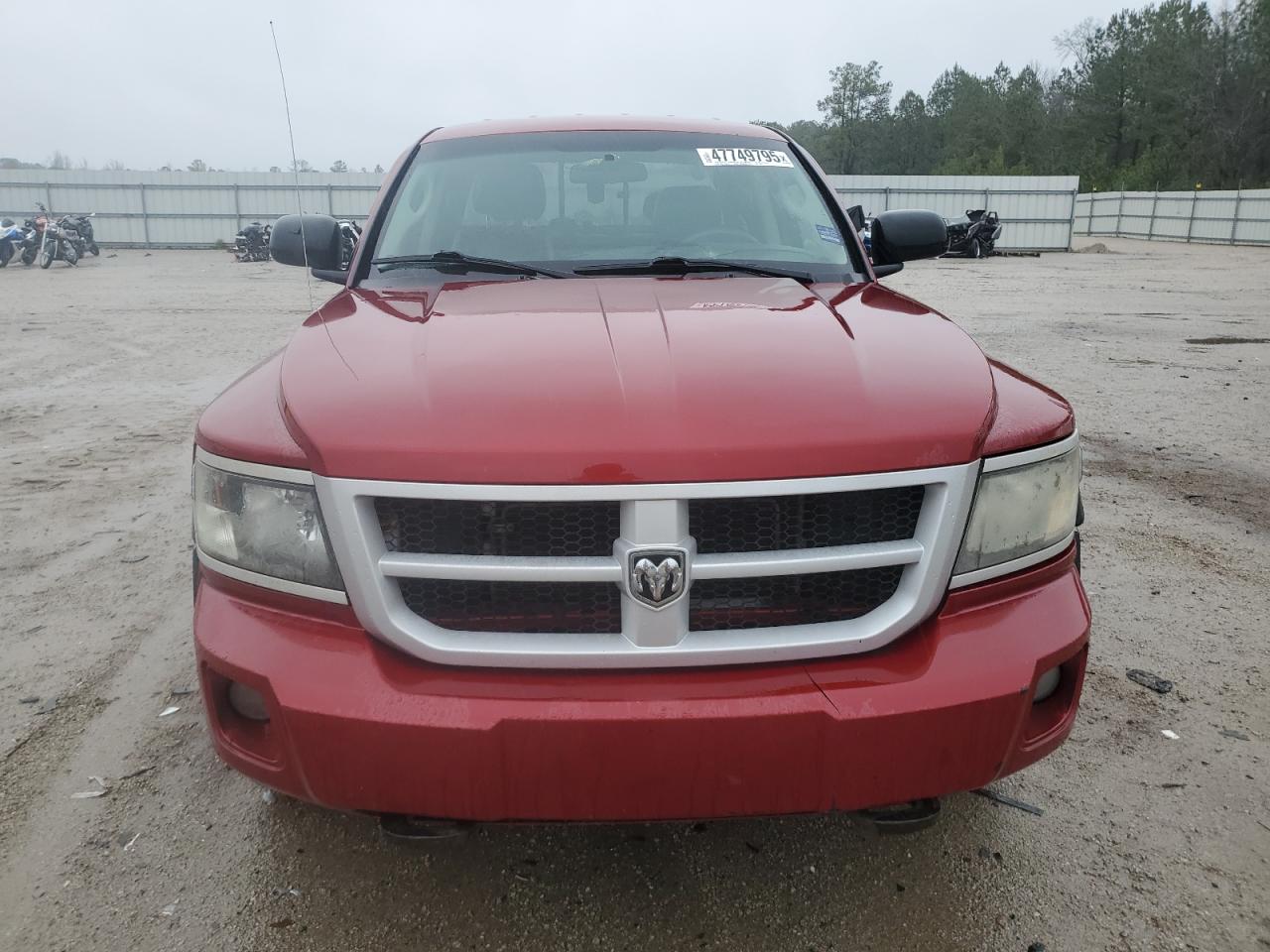 2010 Dodge Dakota - Image 5