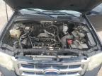 2008 Ford Escape Xls en Venta en Haslet, TX - Front End