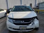 2016 Honda Odyssey Exl იყიდება Lawrenceburg-ში, KY - All Over