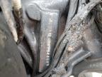 1994 Harley-Davidson Flstc  for Sale in Franklin, WI - Burn