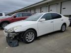 2004 Lexus Es 330 de vânzare în Louisville, KY - Front End